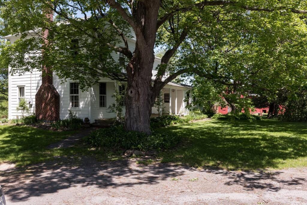 King Hill Cottage Greenville Экстерьер фото